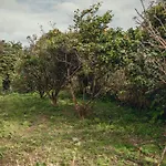 Σπίτι διακοπών Shr House *