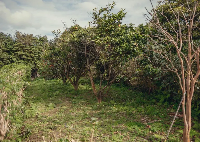 Vakantiehuis Shr House *